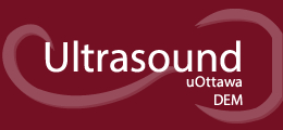Ottawa Emergency Medicine Ultrasonography Fellowship